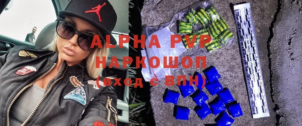 индика Алзамай