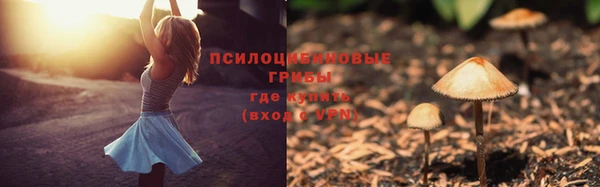 индика Алзамай