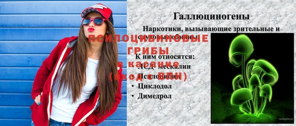 индика Алзамай