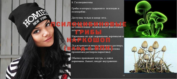 МДПВ Арсеньев