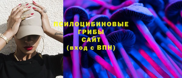 МДПВ Арсеньев