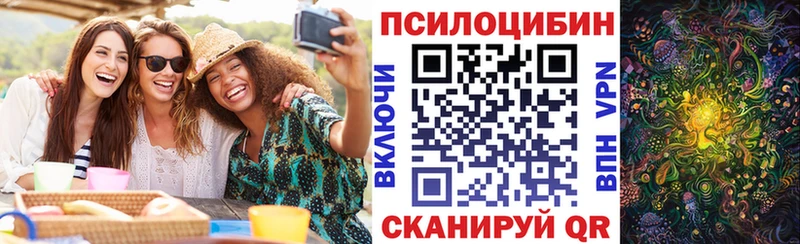 Галлюциногенные грибы прущие грибы  Димитровград 